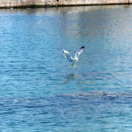 Bilocale Lido